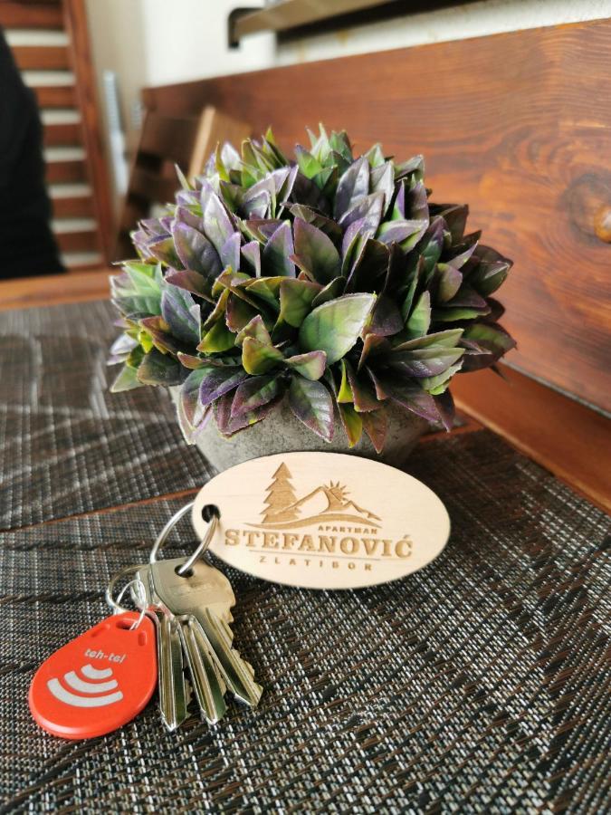 Apartman Stefanovic Vila Darija Lux Zlatibor Buitenkant foto