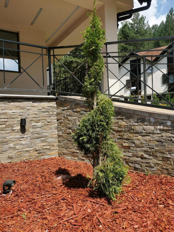 Apartman Stefanovic Vila Darija Lux Zlatibor Buitenkant foto