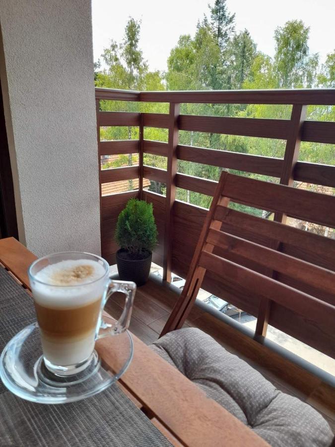 Apartman Stefanovic Vila Darija Lux Zlatibor Buitenkant foto